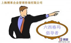 六西格瑪管理中倡導(dǎo)者的職責(zé)是什么？